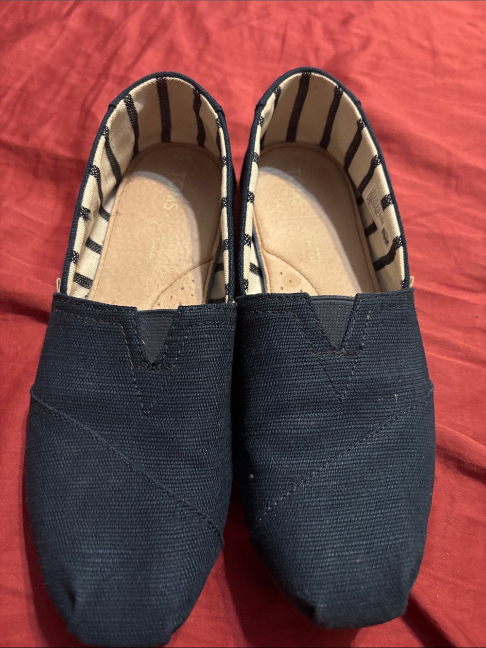 Toms Men's Navy Canvas Slip-Ons